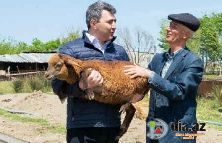 KTN bu gün başdan-başa korrupsiyalaşıb... KTN bu gün başdan-başa korrupsiyalaşıb...