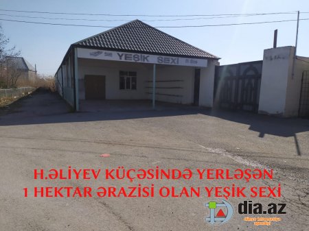 Ziya Məmmədovun zülmündən DAD DEYƏNLƏR... Ziya Məmmədovun zülmündən DAD DEYƏNLƏR...