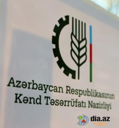 Kənd Təsərrüfatı Nazirliyi kimi və nəyə görə aldadır? Kənd Təsərrüfatı Nazirliyi kimi və nəyə görə aldadır?