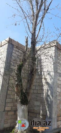 Göyçayda MEYDAN SULAYAN KİMDİR? Göyçayda MEYDAN SULAYAN KİMDİR?