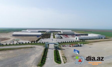 Şamaxı Aqro-park MMC-nin işçisindən ŞOK İDDİA Şamaxı Aqro-park MMC-nin işçisindən ŞOK İDDİA