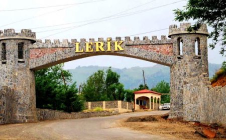 Lerikdə Şəhidimizin Ailəsi BU ŞƏRAİTDƏ YAŞAYIR...