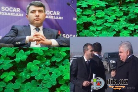 KTN-də Ziya Məmmədovun İRADƏSİ HÖKMRANDIR... KTN-də Ziya Məmmədovun İRADƏSİ HÖKMRANDIR...