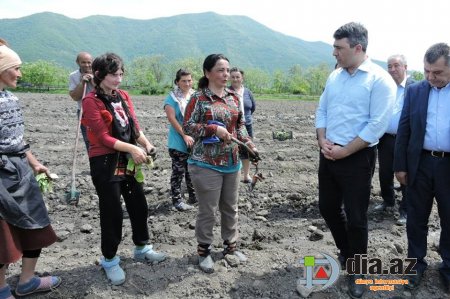 Elə bil Azərbaycanda Kənd Təsərrüfatı Naziri YOXDUR... Elə bil Azərbaycanda Kənd Təsərrüfatı Naziri YOXDUR...
