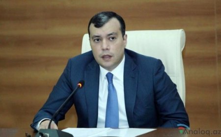 Sahil Babayevin özünəməşğulluq oyunu: Sahil Babayevin özünəməşğulluq oyunu: