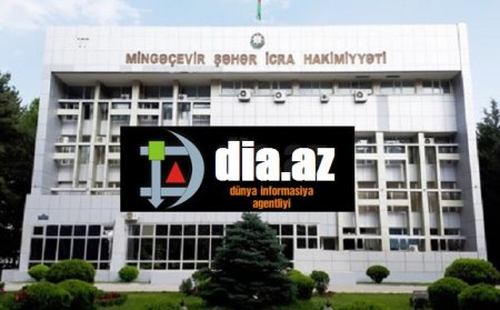 Mingəçeviri həm yaşıllaşdıran,həm də işıqlandıran Şəfayət Kərimova kimdir Mingəçeviri həm yaşıllaşdıran,həm də işıqlandıran Şəfayət Kərimova kimdir