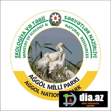 "Ağ göl"də QARA-QARA İŞLƏR... "Ağ göl"də QARA-QARA İŞLƏR...