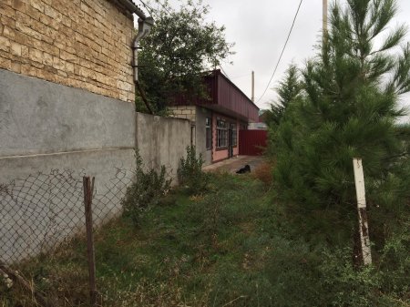 Tovuzda məmur özbaşınalığı. Əmisi qızının əmlakını zəbt edib Tovuzda məmur özbaşınalığı. Əmisi qızının əmlakını zəbt edib