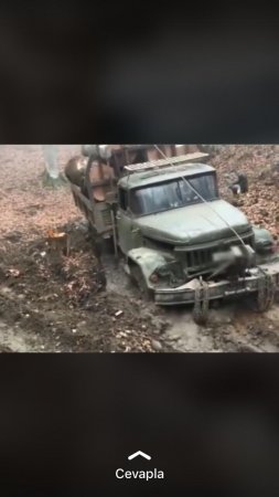 Qış yaxınlaşır... MEŞƏ QULDURLARI İŞ BAŞINDA... Qış yaxınlaşır... MEŞƏ QULDURLARI İŞ BAŞINDA...