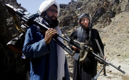 Taliban Əfqanıstanı “gizli agentlər” vasitəsilə ələ keçirib Taliban Əfqanıstanı “gizli agentlər” vasitəsilə ələ keçirib