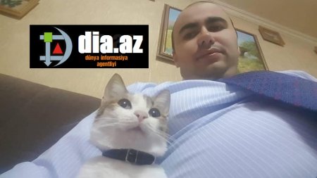 Əli Həsənovun oğlunun DAHA BİR BİZNESİ TAPILDI... Əli Həsənovun oğlunun DAHA BİR BİZNESİ TAPILDI...