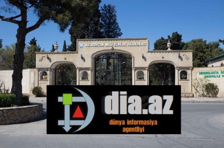 Elmlər Akademiyasının Dendrologiya İnstitutunda özbaşınalıq deyil, dərəbəylikdi Elmlər Akademiyasının Dendrologiya İnstitutunda özbaşınalıq deyil, dərəbəylikdi