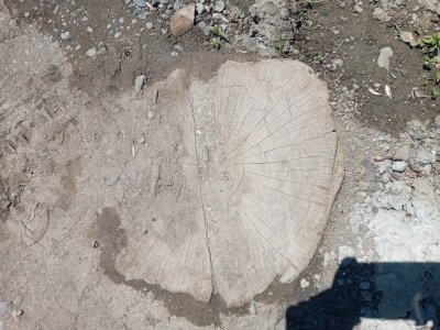 Cəlilabaddakı məmurlar da Bakıdakılardan GERİ QALMIR... Cəlilabaddakı məmurlar da Bakıdakılardan GERİ QALMIR...