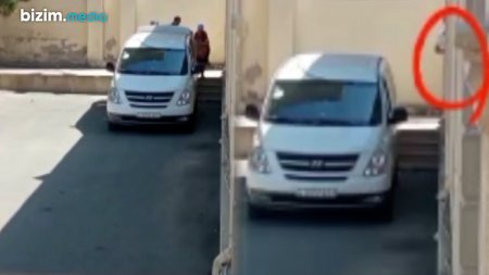 Uşaqlar üçün gətirilən ətləri direktor SATIR Uşaqlar üçün gətirilən ətləri direktor SATIR