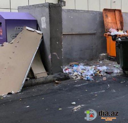 Yasamalın icra başçısı NƏ İŞƏ YARAYIR Kİ? Yasamalın icra başçısı NƏ İŞƏ YARAYIR Kİ?