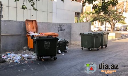 Yasamalın icra başçısı NƏ İŞƏ YARAYIR Kİ? Yasamalın icra başçısı NƏ İŞƏ YARAYIR Kİ?