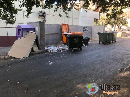 Yasamalın icra başçısı NƏ İŞƏ YARAYIR Kİ? Yasamalın icra başçısı NƏ İŞƏ YARAYIR Kİ?