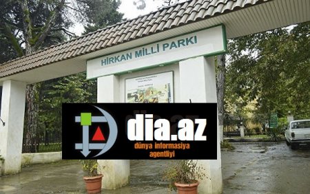 Hirkan Milli Parkının direktoru ilə bağlı İLGİNC İDDİALAR
