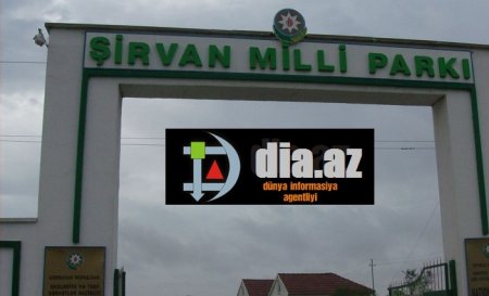Məmurlar indi də dövlət qoruqlarını zəbt edir… Məmurlar indi də dövlət qoruqlarını zəbt edir…