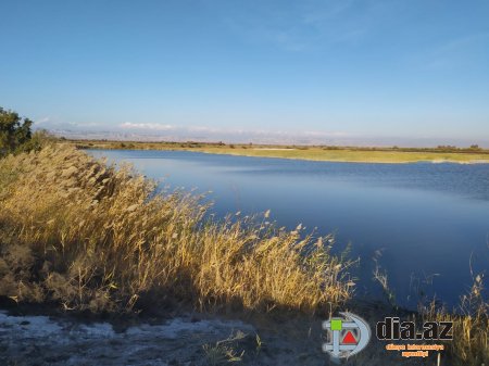 Göyçayın icra başçısı örüş yerində göl yaradıb Göyçayın icra başçısı örüş yerində göl yaradıb