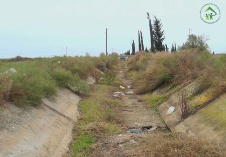 Torpağı baha qiymətə icarəyə götürüblər, amma ƏKƏ BİLMİRLƏR... Torpağı baha qiymətə icarəyə götürüblər, amma ƏKƏ BİLMİRLƏR...