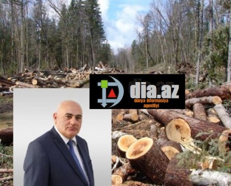 Oğuz meşələri rəsmən QARƏT OLUNUR... Oğuz meşələri rəsmən QARƏT OLUNUR...