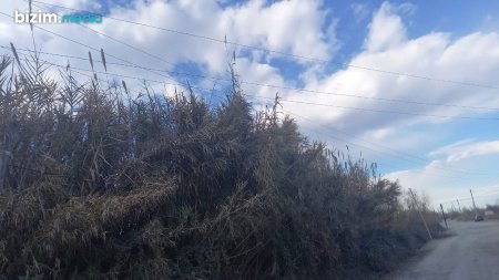 Vidadi İsayev bilirmi ki Bərdənin belə kəndləri də var... Vidadi İsayev bilirmi ki Bərdənin belə kəndləri də var...