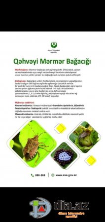 İnam Kərimov börtü-böcəkdən də QAZANIR... İnam Kərimov börtü-böcəkdən də QAZANIR...