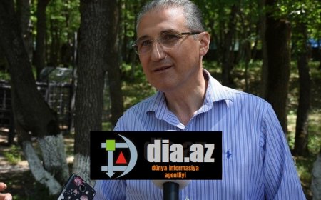 Masallı meşələrinin QƏSDİNƏ DURAN KİMDİR? Masallı meşələrinin QƏSDİNƏ DURAN KİMDİR?