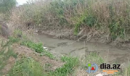 Sabairabadda camaatı zəhərləyən KİMDİR? Sabairabadda camaatı zəhərləyən KİMDİR?