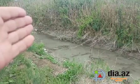 Sabairabadda camaatı zəhərləyən KİMDİR? Sabairabadda camaatı zəhərləyən KİMDİR?
