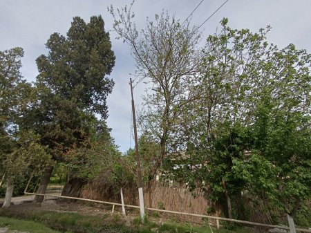 Göyçay sakinləri həyatlarının təhlükədə olduğunu deyirlər... Göyçay sakinləri həyatlarının təhlükədə olduğunu deyirlər...