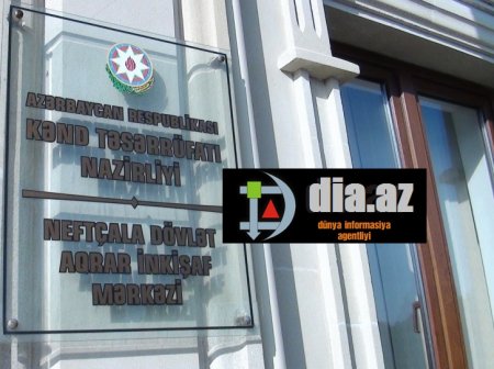 Neftçala DAİM-in direktoru və HSBXİ-nin rəisindən yeni nazirə ŞİKAYƏT Neftçala DAİM-in direktoru və HSBXİ-nin rəisindən yeni nazirə ŞİKAYƏT