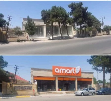Cəlilabadda incə-mincə işlər: Başçı `dobro` verir, ağaclar qırılır... Cəlilabadda incə-mincə işlər: Başçı `dobro` verir, ağaclar qırılır...
