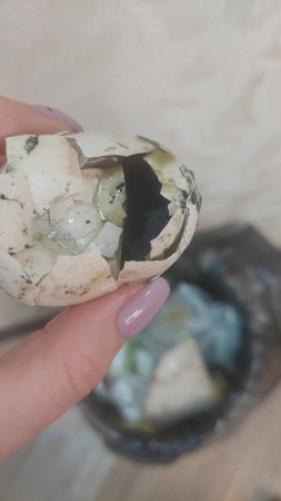 Müştəri “Bazarstore”dan məhsul aldı: Hamısı xarab çıxdı 