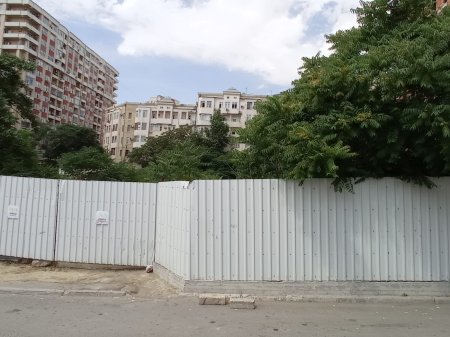 Tikinti hasarları arxasında MƏHV EDİLƏN YAŞILLIQ... Tikinti hasarları arxasında MƏHV EDİLƏN YAŞILLIQ...