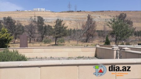 “Qurd Qapısı”nda VƏHŞİLİK... “Qurd Qapısı”nda VƏHŞİLİK...