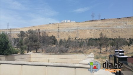 “Qurd Qapısı”nda VƏHŞİLİK... “Qurd Qapısı”nda VƏHŞİLİK...