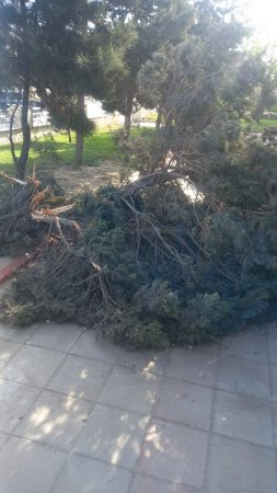 Bakıda məmurun ŞOK ÖZBAŞINALIQLARI... Bakıda məmurun ŞOK ÖZBAŞINALIQLARI...