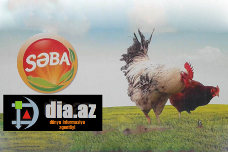 `Səba Broyler` millətin QƏSDİNƏ DURUB? `Səba Broyler` millətin QƏSDİNƏ DURUB?