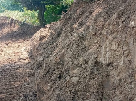 Dövlət meşə fondu torpaqları qazılıb daşınır... Dövlət meşə fondu torpaqları qazılıb daşınır...