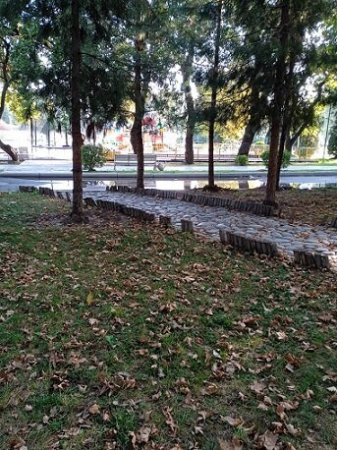 Vidadi İsayevin başı necə qarışıbsa... Vidadi İsayevin başı necə qarışıbsa...