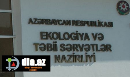 Qırmızı Kitaba daxil olan agaclar məhv edilib, yerində restoran tikilib Qırmızı Kitaba daxil olan agaclar məhv edilib, yerində restoran tikilib