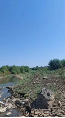 Masallıda Ana Təbiətə ÖVLAD NANKORLUĞU... Masallıda Ana Təbiətə ÖVLAD NANKORLUĞU...