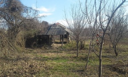 Şəkidə Şəhid ailəsi Prezidentə MÜRACİƏT ETDİ... Şəkidə Şəhid ailəsi Prezidentə MÜRACİƏT ETDİ...