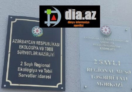 Tovuz meşələri KİMİN DƏDƏ MALIDIR?