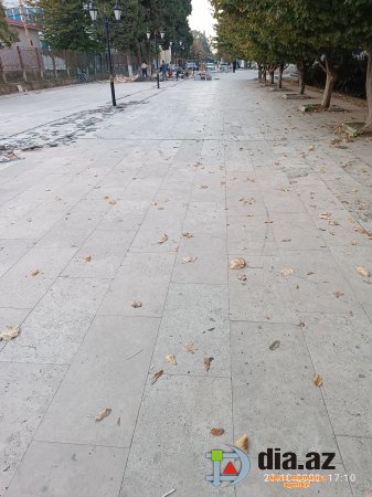 Lənkəranın icra başçısı `MUŞQULAT EDİR`... Lənkəranın icra başçısı `MUŞQULAT EDİR`...