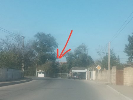 Məgər yaşıllıq kim(lər)insə DƏDƏ MALIDIR? Məgər yaşıllıq kim(lər)insə DƏDƏ MALIDIR?