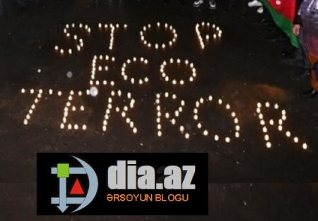Cəlilabadda EKOTERRORU kim törədir? Cəlilabadda EKOTERRORU kim törədir?