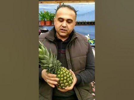 “Lenk Fruit”  MMC və tanınmış iş adamı Azər Qurbanov  məhkəməlik oldu
